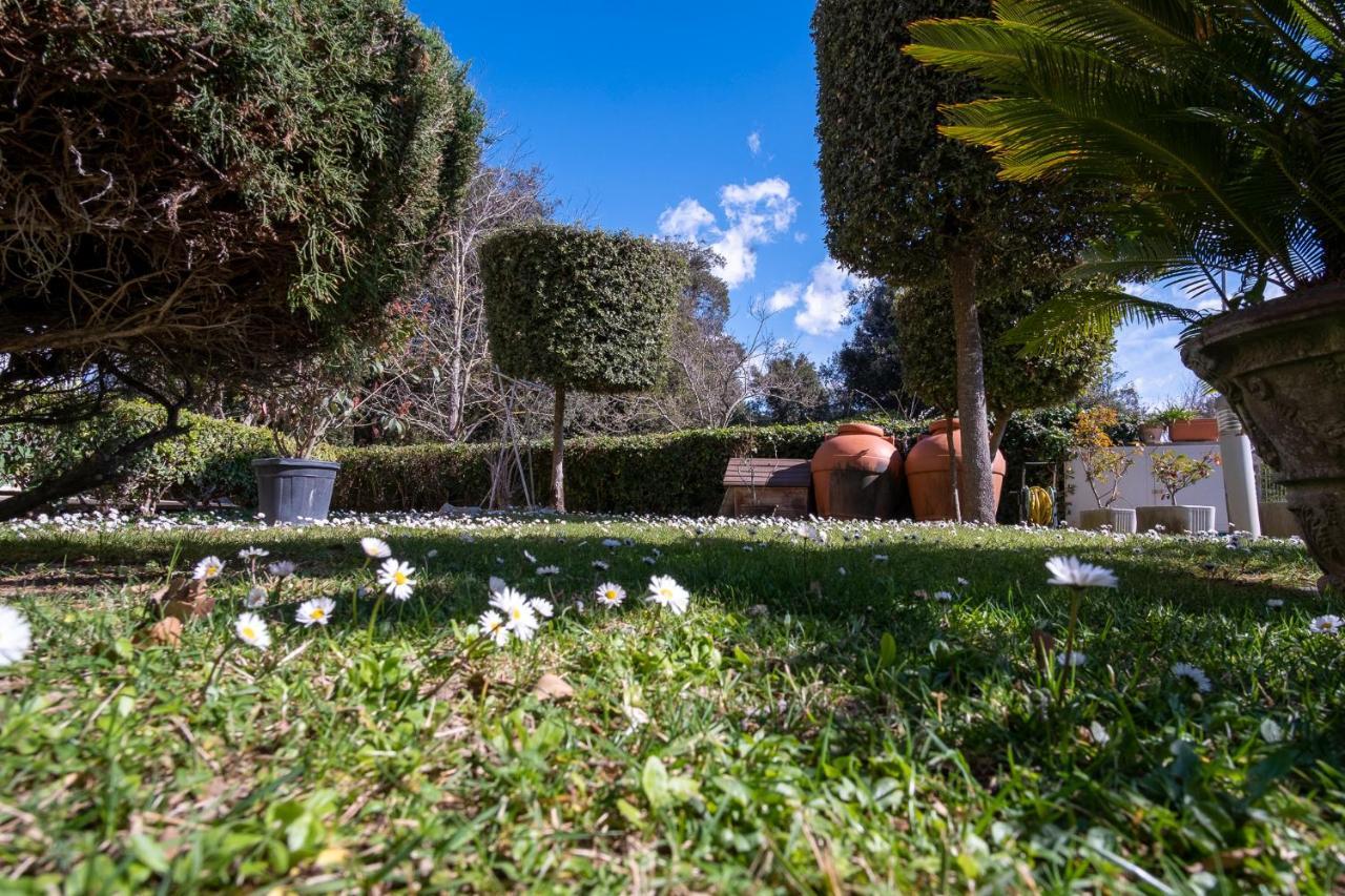 Beverly Park Residence Tirrenia Bagian luar foto
