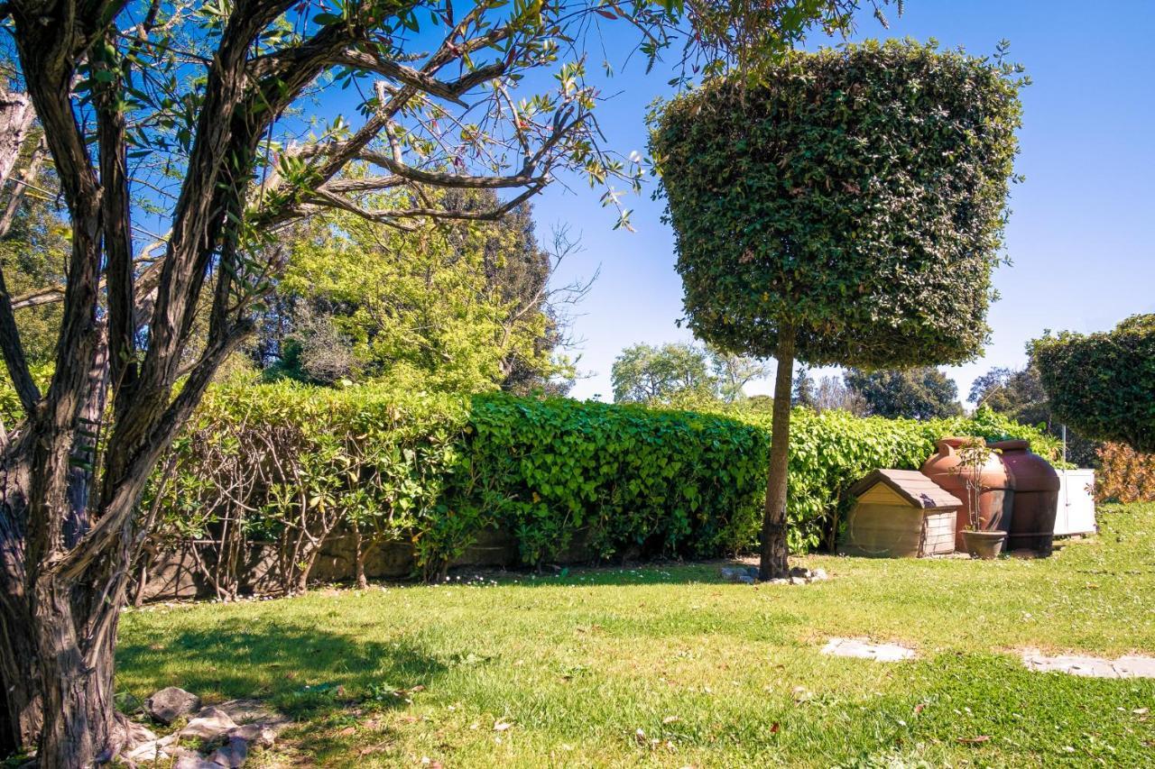 Beverly Park Residence Tirrenia Bagian luar foto